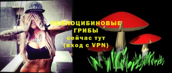кокаин премиум Каменка
