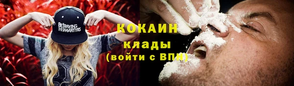 амф Каменногорск