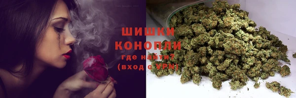 амф Каменногорск